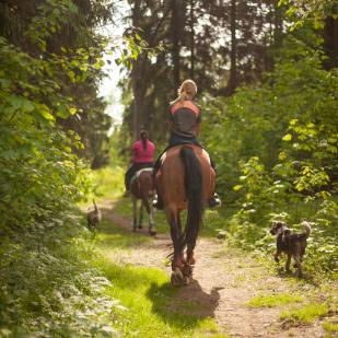 ROUTES À CHEVAL